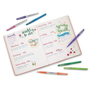 Papermate Flair Felt Pen Black Pk36