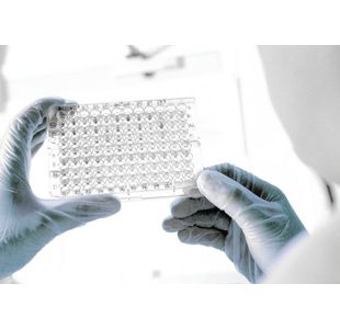 Handsafe Pf Vinyl Gloves L Clr Pk100