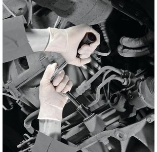 Shield Pf Latex Gloves M Pk100 Gd05