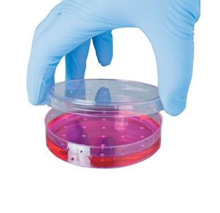 Shield Pf Nitrile Gloves S P100 Gd19