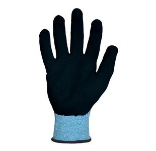 Polyflex Eco Nitrl Plm Ctd Glvs Pk10