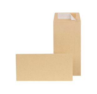 New Guardian Dl Env Ps Manilla Pk500