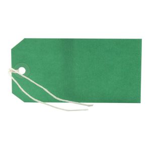 Strung Tag 120X60 Green Pk1000