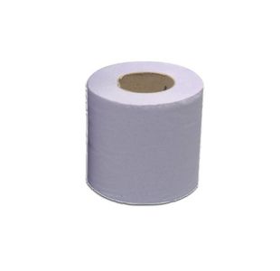 2Work Hyg Roll 2-Ply 10In Blue Pk24