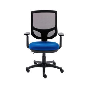Astin Nesta Optr Chr Adj Arms Ro Blu