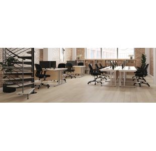 Jemini Rect Cant Desk 1600X800 N/Oak