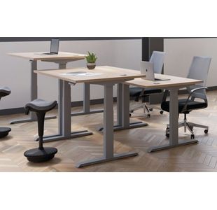Jemini Sit/Stand Desk With Cable Bch