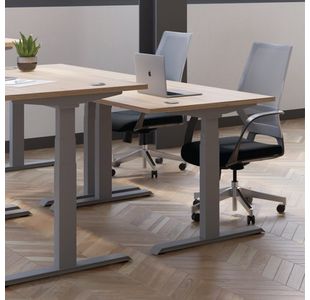 Jemini Sit/Stand Dsk 1400X800 G/Oak