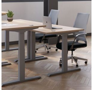 Jemini Sit/Stand Dsk 1600X800 N/Oak