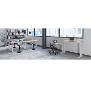 Jemini Sit/Stand Dsk 1600X800 Wal