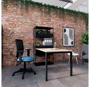 Jemini Medway Optr Chr Adj Arms Char