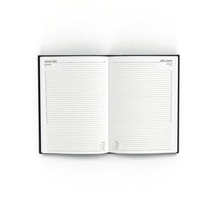 Desk Diary Dpp Appt A4 Black 2024