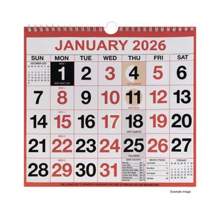 Wirebound Mtv Calendar 249X231 2026