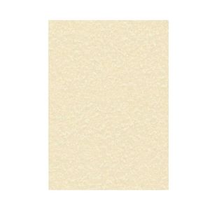 Decadry Paper 95G Parchmt Cham Pk100