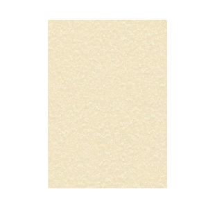 Decadry Paper 95G Parchmt Cham Pk100