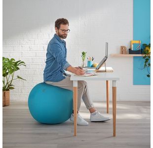 Leitz Ergo Cosy Sitting Ball Blu