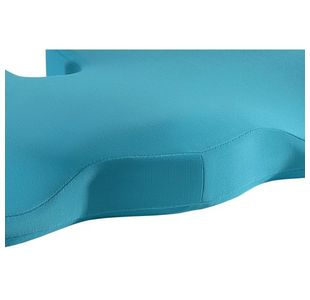 Leitz Ergo Cosy Seat Cushion Blu