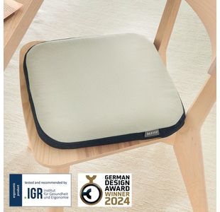 Leitz Ergo Activewobble Cushion Lgry
