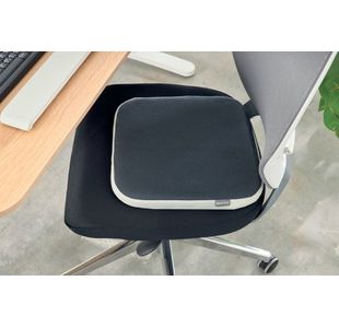 Leitz Ergo Activewobble Cushion Dgry