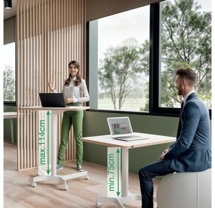 Leitz Ergo Sit/Stand Desk Small