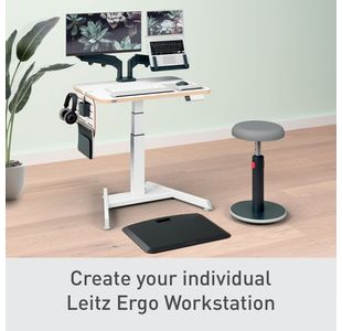 Leitz Ergo Sm Pegbrd Desk Organiser