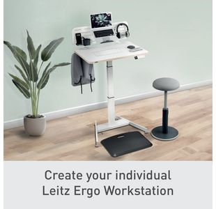Leitz Ergo Pegbrd Desk Org W/Holder