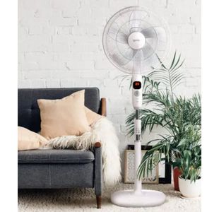Igenix 16 Inch Digi Pedestal Fan Wht