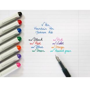 Pilot V Fountain Pen Dspsbl Black