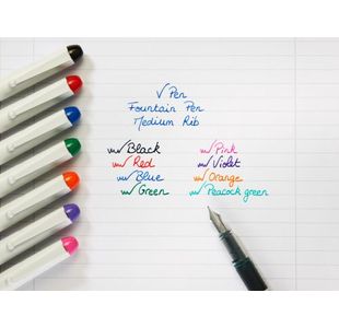 Pilot V Fountain Pen Dspsbl Blue