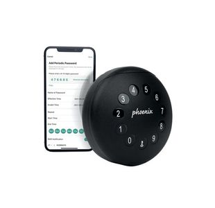 Phoenix Palm Key Safe Elect Lock/Cbl