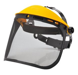 Browguard With Mesh Visor Black