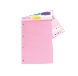 Pukka Pad A4 Refill Pad Rose Pk6