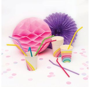 Flexible Drinking Straws Ast Pk24