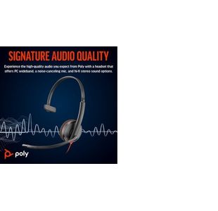 Poly Blackwire 3210 Uc Usb-C/A Hset