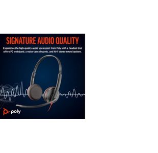 Poly Blackwire 3225 Uc Usb-C/A Hset