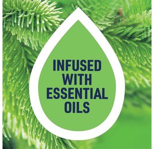 Harpic Actve Wc Clnr Pine 750Ml Pk12