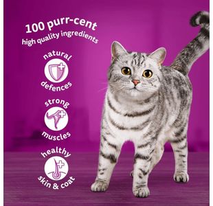 1+ Cat Food Tuna In Jelly 85G Pk28