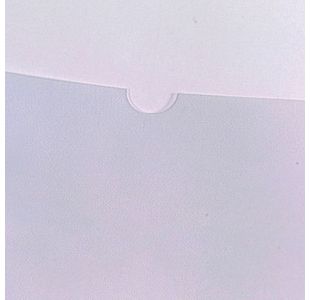 Rexel Card Holders A4 Clear Pk25