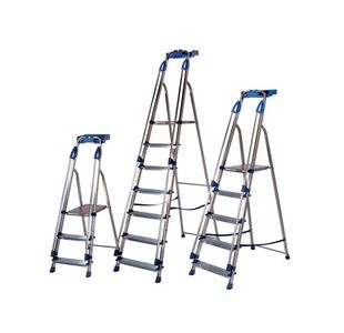 Aluminium Blue Seal 6 Tread Ladder