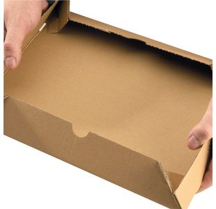 Carton/Lid 305X215X50Mm Brn Pk10