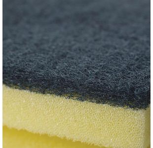 Spontex Specialist Gprps Scourer Pk6