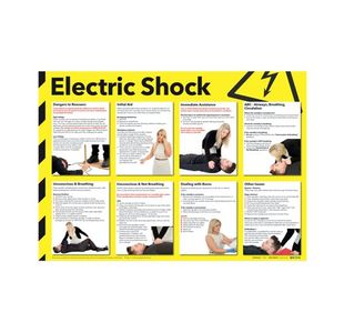 Signslab 420X590 Elec Shock Poster