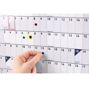 Sasco Year Planner Unmtd 2026