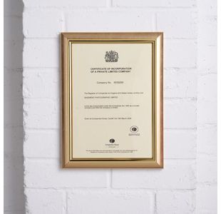 Seco Premium Cert Holder A4 Gold