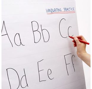 Rhino Literacy Flipchart 30 A1 Pk5
