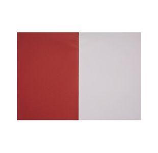 Exercise Book A4+ Plain Red Pk50