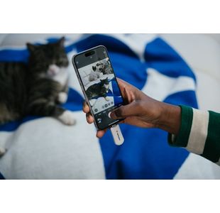 Plectra Usb-C Flash Drive Wht 128Gb