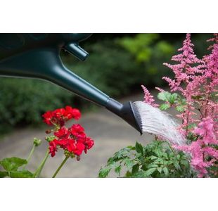Whitefurze 6 Litre Watering Can Grn