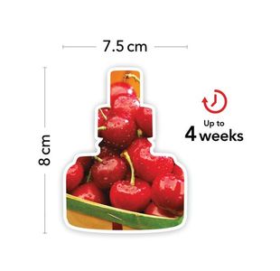 Yankee Scent Plug Refill Blk Ch Pk4