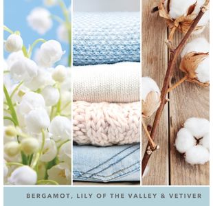 Yankee Candle Sig Med Jar Cotton Pk4